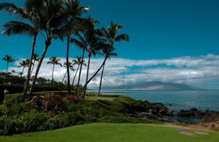 Schöner Strand mit Palmen und Himmel. Sommerurlaub Reise Urlaub Hintergrundkonzept. Hawaiianisches Paradies. Luxusreisen Sommer Urlaub Hintergrund