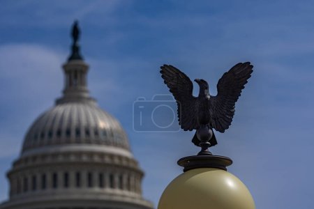 Foto de El Capitolio de Estados Unidos en Washington, DC. United States Capitol Building Washington DC United States (en inglés). Congreso americano - Imagen libre de derechos