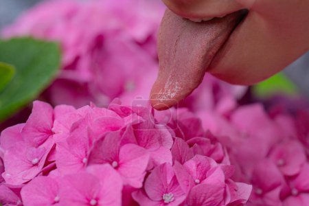 Photo for Tongue lick. Suck and lick concept. Licking flower. Sexy sensual mouth. Glamor beautiful long tongue. Cropped close portrait of young woman showing tongue. Sucking and licking with long tongue - Royalty Free Image
