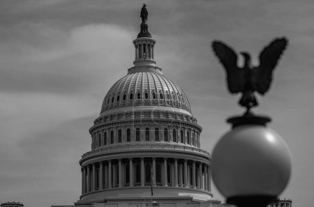 Téléchargez les photos : Bâtiment du Capitole. Capitole national américain à Washington, DC. Point de repère américain. Photo de Capitol Hill - en image libre de droit