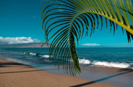 Téléchargez les photos : Voyage vacances d'été fond, concept à la plage avec le ciel ensoleillé. Scène tropicale de vacances sur la mer. Paysage marin nature. Feuilles vertes de palmier - en image libre de droit