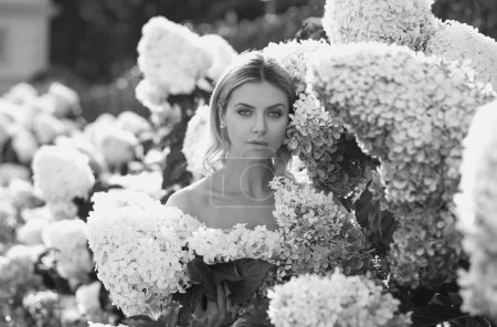 Photo for Beautiful spring woman. Sensual girl in blooming bush of hydrangea flowers in spring garden. Hydrangeas shrubs flowers. Woman near a blossoming hydrangea in a garden. Close up portrait - Royalty Free Image