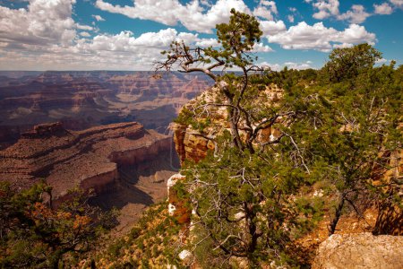 Photo for Scenic view of Grand Canyon. Overlook panoramic view National Park in Arizona. Valley view at dusk - Royalty Free Image