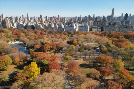 Autumn Central Park in New York with skyscrapers view from top. Aerial of NYC Central Park panorama in Autumn. Autumn in Central Park. Autumn NYC. Central Park Fall foliage