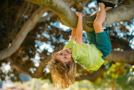 Young child blond boy climbing tree. Happy child playing in the garden climbing on the tree. Kids climbing trees, hanging upside down on a tree in a park. Boy climbs up the tree in summer park