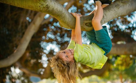 Childhood leisure, happy kids climbing up tree and having fun in summer park. Kids climbing trees, hanging upside down on a tree in a park. Boy climbs up the tree in summer park