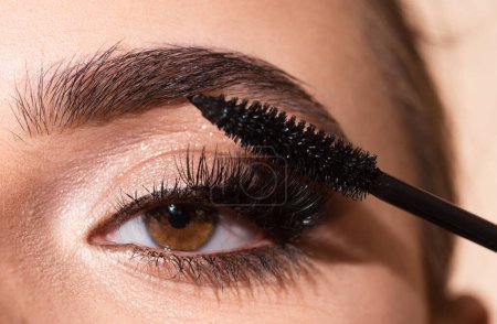 Eyebrow makeup. Macro close up of brows. Woman brushing brows with brows brush closeup. Natural beauty brows
