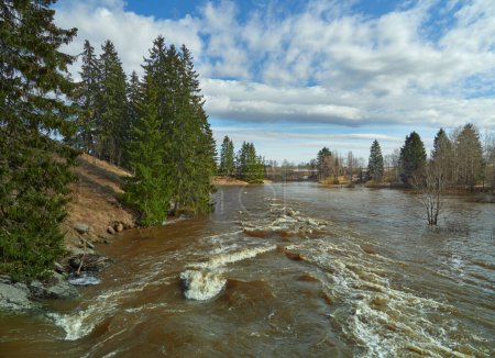 Foto de Area near Lahankoski waterfall in Finnish Pornainen: april, clear weather, river rapids, high a lot of water, nature of nordic countries. - Imagen libre de derechos