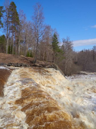 Téléchargez les photos : Area near Lahankoski waterfall in Finnish Pornainen: april, clear weather, river rapids, high a lot of water, nature of nordic countries. - en image libre de droit