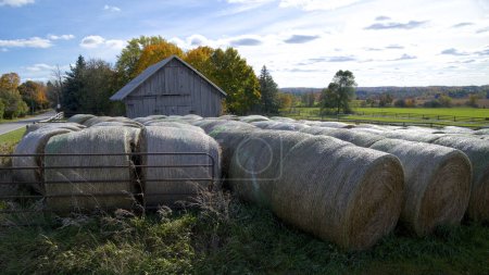 Téléchargez les photos : Balle de foin dans un champ agricole en automne - en image libre de droit