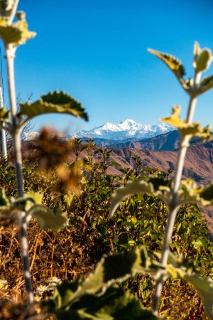 Téléchargez les photos : Sommets enneigés de Bandarpoonch et du glacier Kalanaag dans le majestueux Himalaya, Uttarakhand, Inde. - en image libre de droit