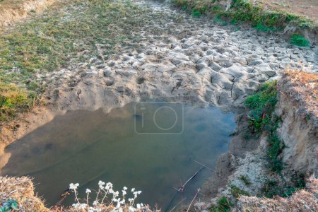 Téléchargez les photos : Pendant les étés, un étang dans la forêt de l'Uttarakhand, en Inde, ressemble à une réserve frappée par la sécheresse. Faite pour la faune, elle sert de source d'eau vitale - en image libre de droit
