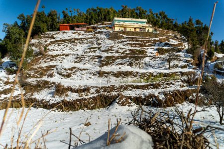 Téléchargez les photos : Chute de neige à Mussoorie : Première couverture d'hiver dans la Reine des Collines, Uttarakhand, Inde - en image libre de droit