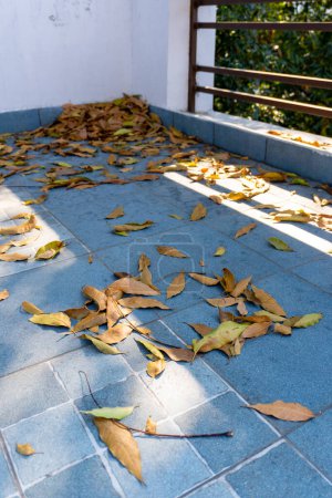 Autumn Leaves on Indian House Roof: Change of Season in Uttarakhand, India