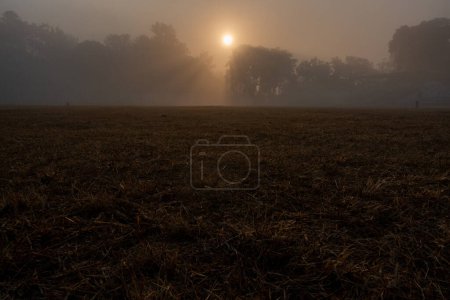 Misty Winter Morning at Dehradun Stadium: Sunbeam Through Fog