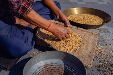 Post Harvest Manual pulse grain or soyabean dal cleaning process in Uttarakhand, India, using stainer or channi. Traditional organic agricultural practice.