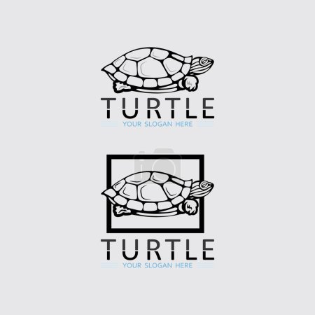 Tortuga animal dibujo animado icono vector ilustración