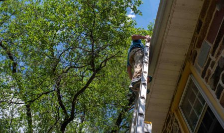 Photo for Low angle side view of man on ladder cleaning gutters of old stone home with tall tree and large leafy branches overhead, blue sky and clouds. Architectural features visible and one window. - Royalty Free Image