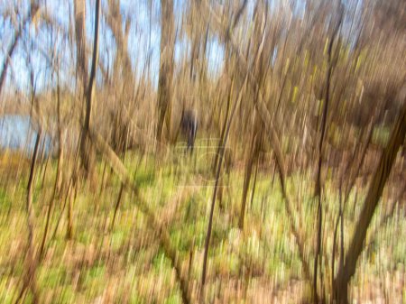 Colorful landscape graphic resource background. ICM Intentional camera movement blurred defocused background with a solitary hiker soft lines and welcoming nature feeling with bright colors and trees