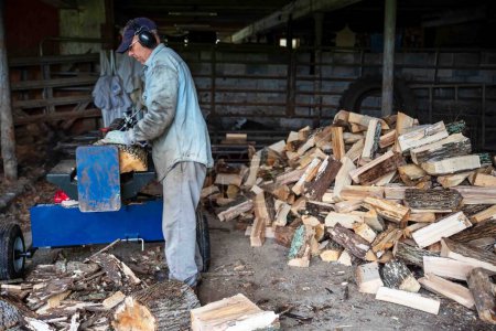 Photo for Side view caucasian senior man splits wood with a hydraulic log splitter. He wears a denim work shirt, work gloves and ear protection. with arge woodpile - Royalty Free Image