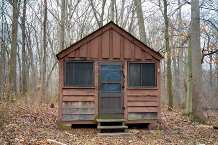 Holzhütte auf dem Zeltplatz im Wald mit hohen Bäumen. Jagdhütte mit rustikaler Tür und Fenstern. Herbstblätter auf dem Waldboden. Keine Menschen, Kopierraum.