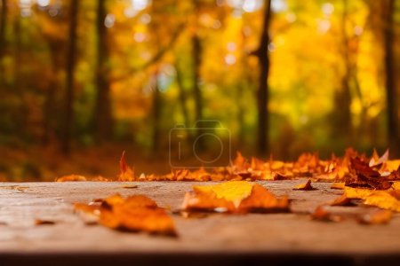 Photo for Colorful leaves of oak on wooden table - Royalty Free Image