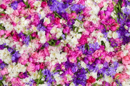 Photo pour Beautiful colorful flowers on white background, top view - image libre de droit