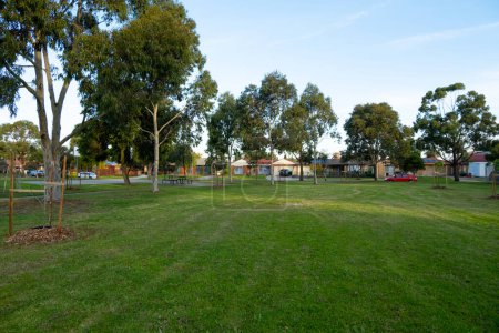 Photo for Background texture of a vacant grass lawn lot with some Australian gum trees Eucalyptus and suburban homes at the back. Public ground in a local park of a residential neighourhood. - Royalty Free Image