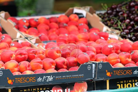 Photo for Paris  France  July 08, 2023 Fresh peaches at a fruit and vegetable stand provided by Parisian shop owner. - Royalty Free Image