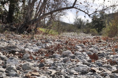 Invierno seco lecho rocoso del río en California.
