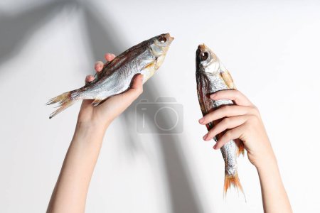 Trockener Trockenfisch Taranka, Widder, Rotauge, Brasse, Plattfisch werden von weiblichen Händen auf weißem Hintergrund gehalten. Biersnack.