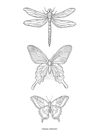 Foto de Colección de dibujos de mariposas y libélulas para póster, impresión, tarjeta, sublimación, página para colorear, arte de la pared, pegatinas, etc. EPS 10 - Imagen libre de derechos