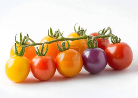 Photo for A variety of ripe yellow and red cherry tomatoes with green stems - Royalty Free Image