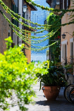 colorful alleyway decorated with green garlands and plants on a sunny day