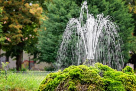 moss-covered fountain with water jets, set in a lush green park, creating a serene and refreshing atmosphere