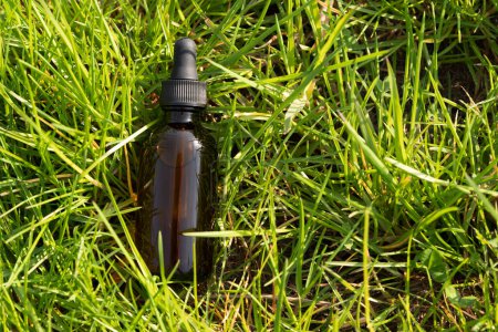 bouteille de sérum brun clair couché dans de l'herbe verte luxuriante, la lumière du soleil réfléchissant sur la bouteille