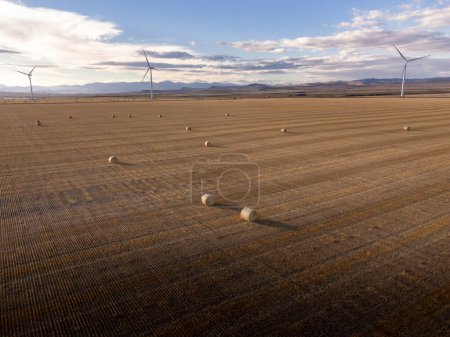 Foto de Praderas aéreas con rollos redondos de paja y molinos de viento que producen energía limpia cerca de las laderas orientales de Pincher Creek Alberta Canadá. - Imagen libre de derechos