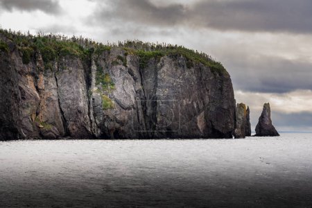 Téléchargez les photos : Haute falaise rocheuse surplombant l'océan Atlantique près de Trinity Newfoundland le long du sentier de randonnée Skerwink. - en image libre de droit