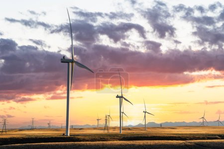Windmills at sunset producing green energy overlooking agriculture wheat fields on a prairie landscape with distant mountains under a dramatic colourful sky.