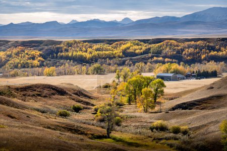 Foto de Colores otoñales en un valle fluvial con vistas a las laderas orientales de las Montañas Rocosas canadienses y un rancho ganadero cerca de Longview Alberta. - Imagen libre de derechos