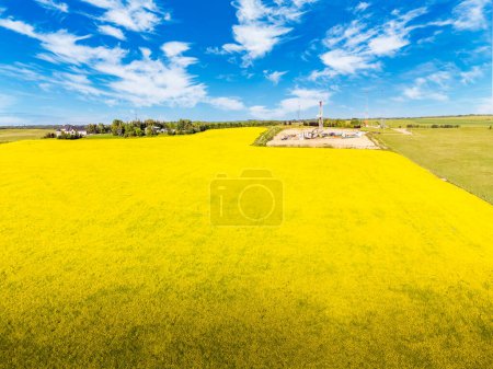 Foto de Campo de canola de floración aérea con vistas a una plataforma de perforación de petróleo y gas junto a una propiedad rural cerca de los límites de la ciudad de Calgary en el Condado de Rocky Alberta Canadá. - Imagen libre de derechos