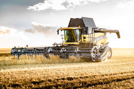 Foto de Cremona Alberta Canada, 10 de septiembre de 2023: New Holland Harvester CR9090 trabajando en un campo de cebada en las praderas canadienses con un cielo brillante al atardecer. - Imagen libre de derechos