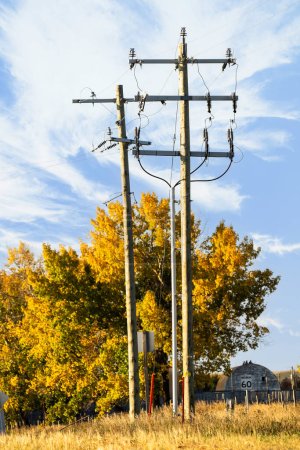 Foto de Grupo de postes de energía junto a una propiedad rural en una carretera rural con árboles en colores otoñales en Rocky View Alberta Canadá. - Imagen libre de derechos
