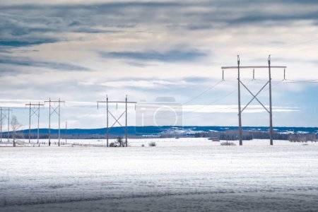 Line of large wooden power poles holding transmission lines across snow covered agriculture fields overlooking rolling hills in Western Canada in Rocky View County Alberta.