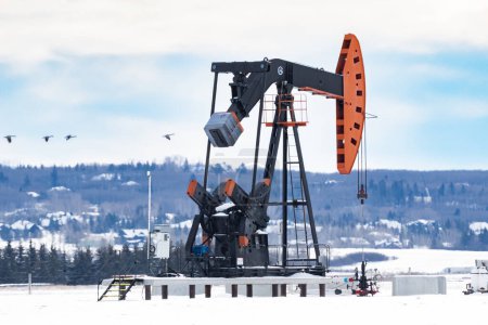 Foto de Rocky View County Alberta Canada, 24 de enero de 2024: La bandada de gansos canadienses vuela más allá de una bomba de aceite de trabajo en campos cubiertos de nieve cerca de Calgary Alberta en el oeste de Canadá. - Imagen libre de derechos