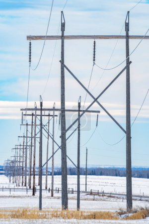 Row of tall wooden transmission towers with electrical lines providing power to customers along a Western province portrait view.