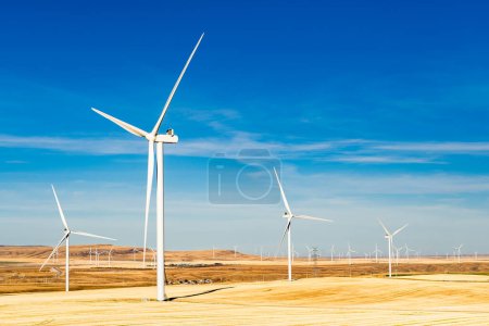 Photo for Windmills standing tall overlooking farm fields generating green energy in Western Canada - Royalty Free Image