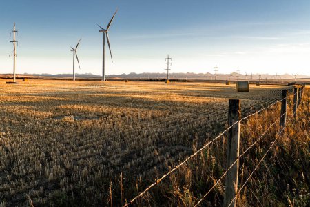 Windmühlen erzeugen Strom entlang eines Stacheldrahtzauns mit Blick auf runde Heuballen auf einem abgeernteten landwirtschaftlichen Feld in Alberta Kanada.