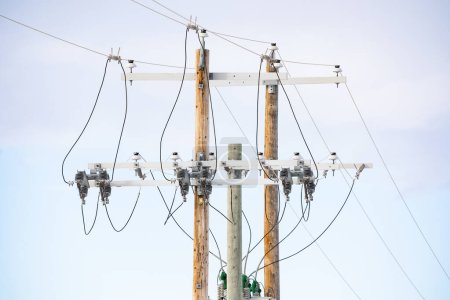 Téléchargez les photos : Poteaux électriques en bois avec lignes de transport d'électricité par une belle journée ensoleillée en Alberta Canada. - en image libre de droit