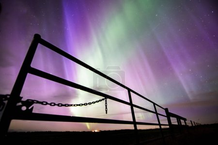 Aurora Borealis dancing across the night sky with a metal gate silhouette on the Alberta prairies in Northern Canada.